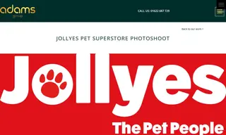 Preview of the Jollyes Pet Superstore Case Study