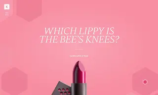Preview of the Burt’s Bees Case Study