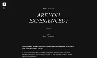 Preview of the Agent Provocateur Case Study