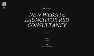 Preview of the Red Consultancy Case Study