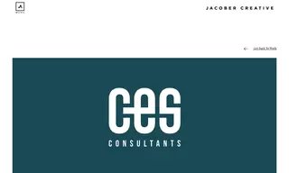 Preview of the CES Consultants Case Study