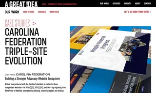 Preview of the Carolina Federation Case Study