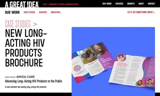 Preview of the Amida Care Case Study