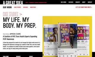 Preview of the Amida Care Case Study