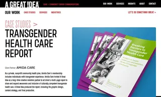 Preview of the Amida Care Case Study