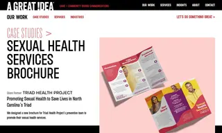Preview of the Triad Health Project Case Study