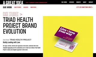 Preview of the Triad Health Project Case Study