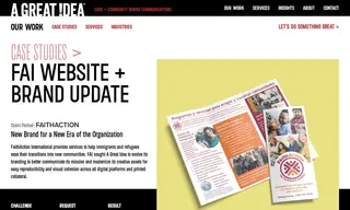 Preview of the FaithAction International Case Study