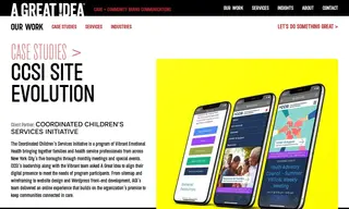 Preview of the Coordinated Children’s Services Initiative Case Study