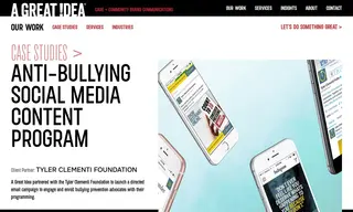 Preview of the Tyler Clementi Foundation Case Study