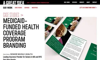 Preview of the Senior Whole Health Case Study