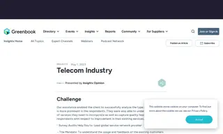 Preview of the Leading Telecom Service Provider Case Study