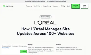 Preview of the L'Oreal Case Study