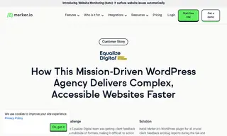 Preview of the Equalize Digital Case Study