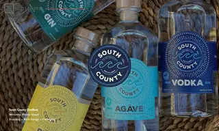 Preview of the South County Distillers Case Study