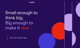 Preview of the Intuit Insight Case Study