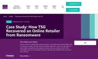 Preview of the Online Retailer Case Study