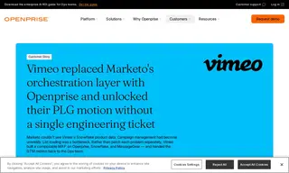 Preview of the Vimeo Case Study
