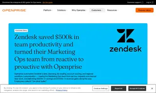 Preview of the Zendesk Case Study