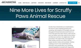 Preview of the Scruffy Paws Animal Rescue Case Study