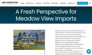 Preview of the Meadow View Imports Case Study
