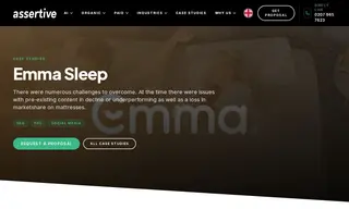 Preview of the Emma Sleep Case Study