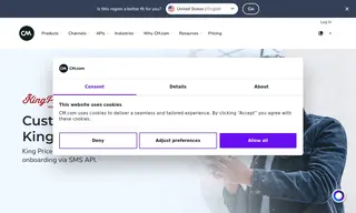 Preview of the King Price Insurance Case Study