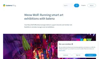 Preview of the Meow Wolf Case Study