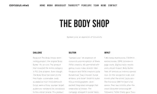 Preview of the The Body Shop Case Study
