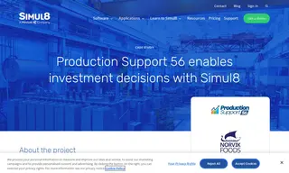 Preview of the Norvik Ltd Case Study