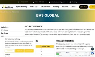 Preview of the BVS Global Case Study