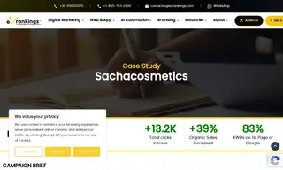 Preview of the Sacha Cosmetics Case Study