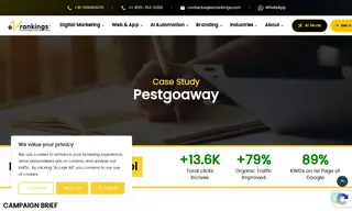 Preview of the Pestgoaway Case Study