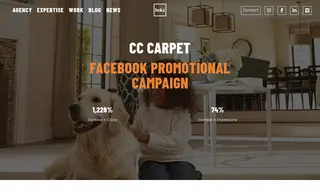 Preview of the CC Carpet Case Study