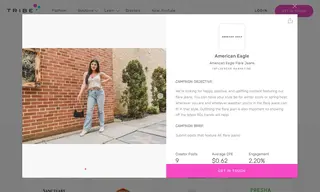 Preview of the American Eagle Case Study