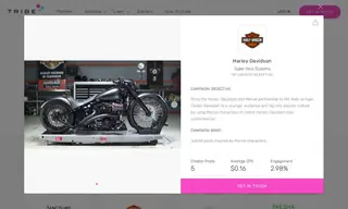 Preview of the Harley Davidson Case Study