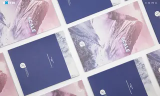Preview of the American Portfolios Case Study
