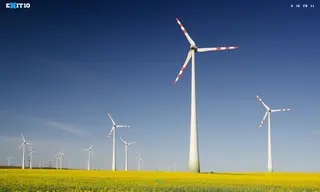 Preview of the Berkley Environmental Case Study