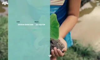 Preview of the American Savings Bank Case Study