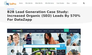 Preview of the DataZapp Case Study