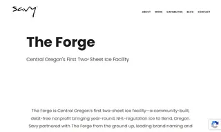 Preview of the The Forge Case Study