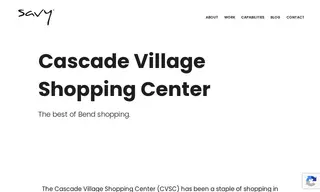 Preview of the Cascade Village Shopping Center Case Study