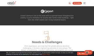 Preview of the Carport Central Case Study