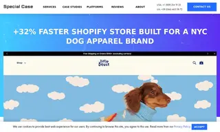 Preview of the Little Beast Case Study