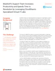 Preview of the MuleSoft Case Study