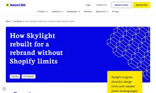 Preview of the Skylight Case Study