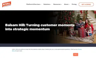 Preview of the Balsam Brands Case Study