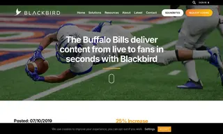 Preview of the Buffalo Bills Case Study