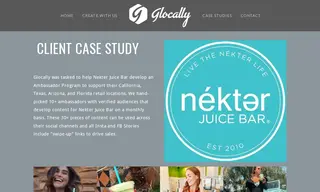 Preview of the Nekter Juice Bar Case Study