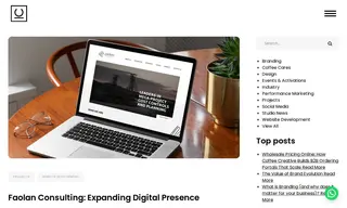 Preview of the Faolan Consulting Case Study